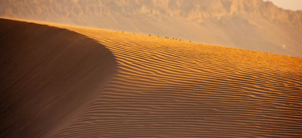 Sahara Desert Sand Dunes Glamping