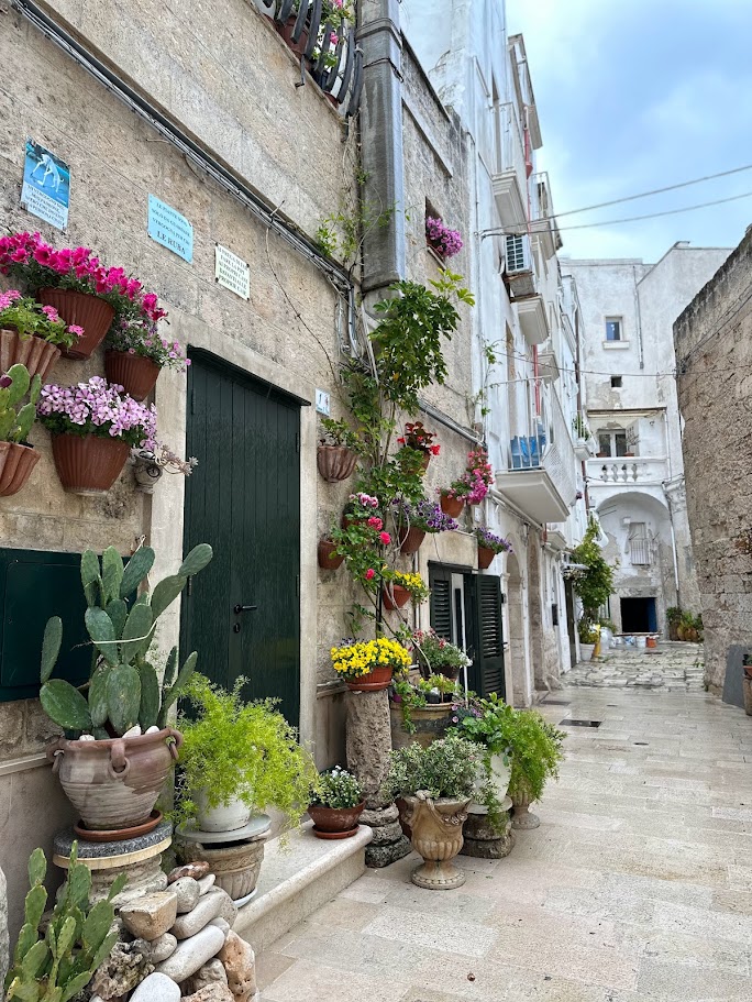 Narrow alleys and whitewashed houses in Monopoli’s historic center.
