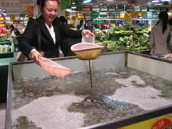 Hong Kong, Travel, Travel Advisor, China, Culture Shock, Defining travel moment